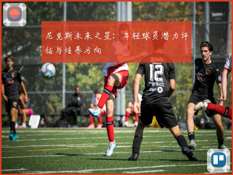 尼克斯未来之星：年轻球员潜力评估与培养方向