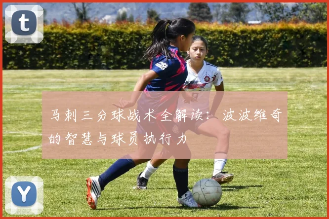 马刺三分球战术全解读：波波维奇的智慧与球员执行力